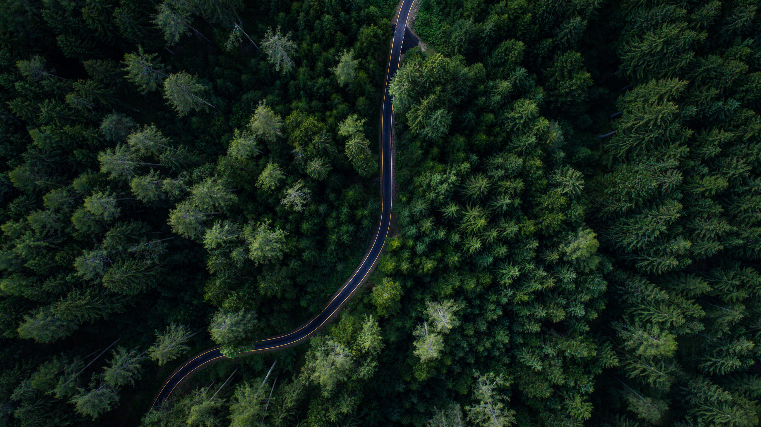 Aerial view of a road winding through a dense forest, disappearing around a bend